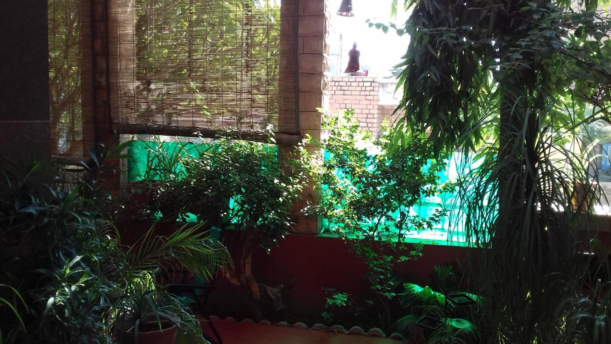 "Nain'S Kunj" A Traveller'S Home Jodhpur (Rajasthan) Exterior foto