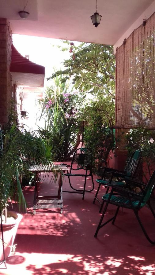 "Nain'S Kunj" A Traveller'S Home Jodhpur (Rajasthan) Exterior foto
